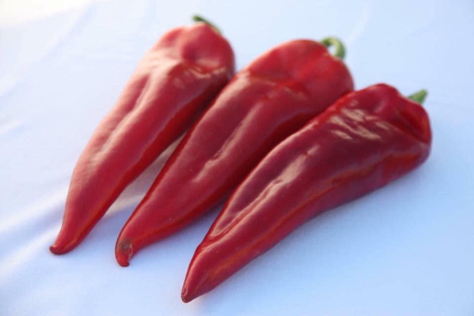 Cornelya